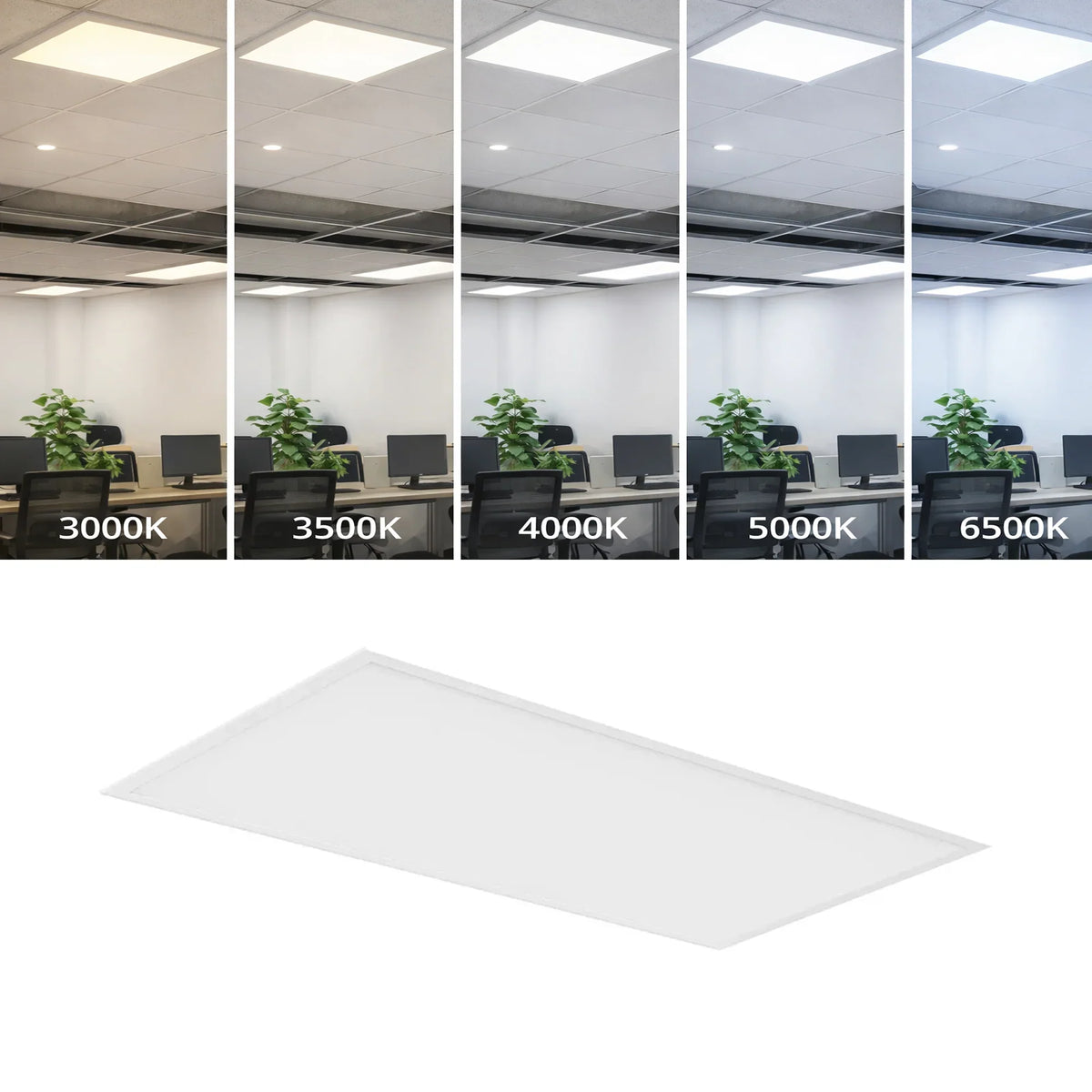 Comparison of office lighting conditions with different color temperatures on a white panel | Selix Kala